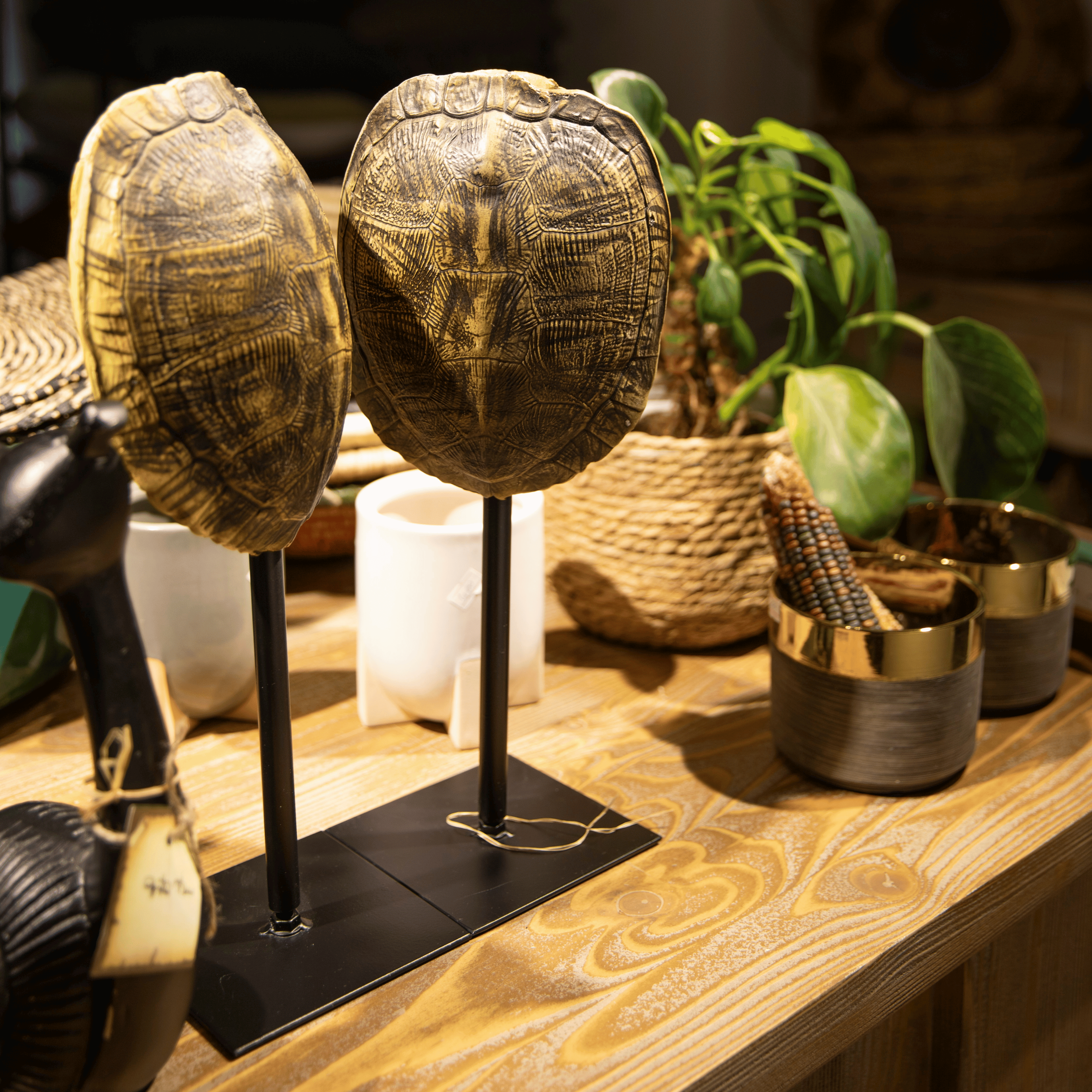 Kora Dekoratif Kaplumbağa Kabuğu