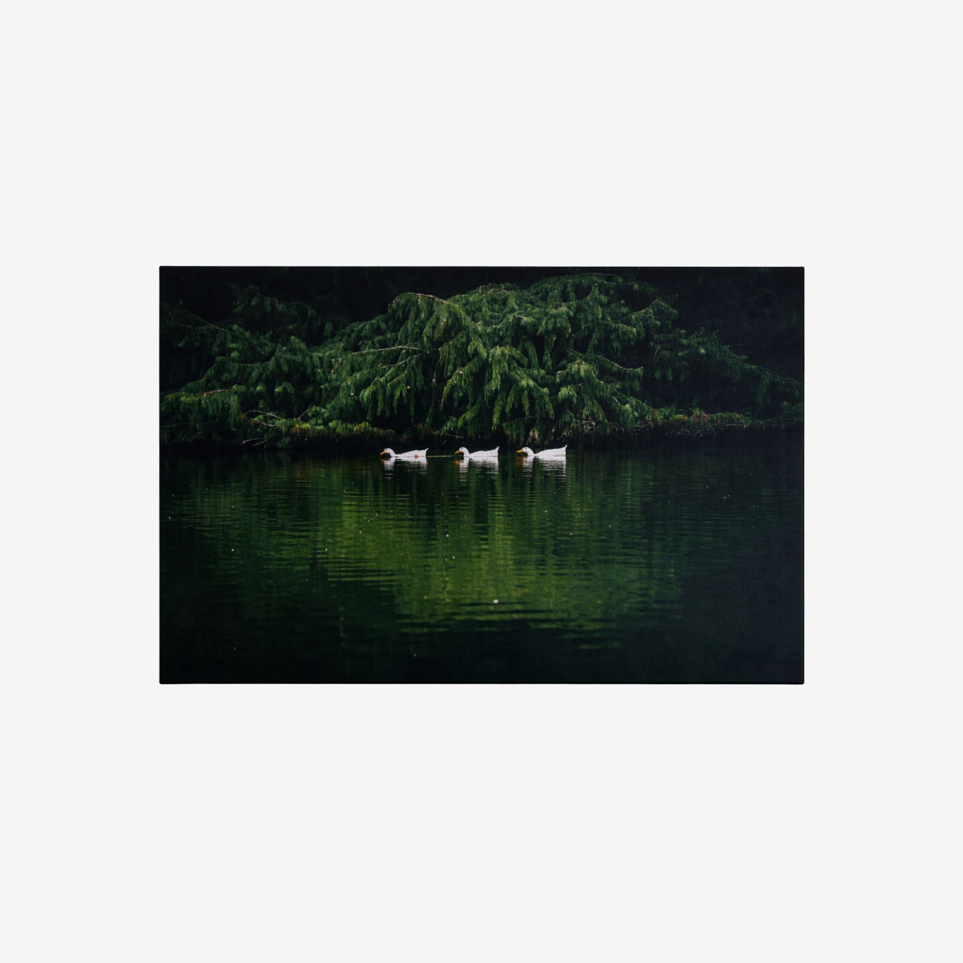 SILENT LAKE TABLO